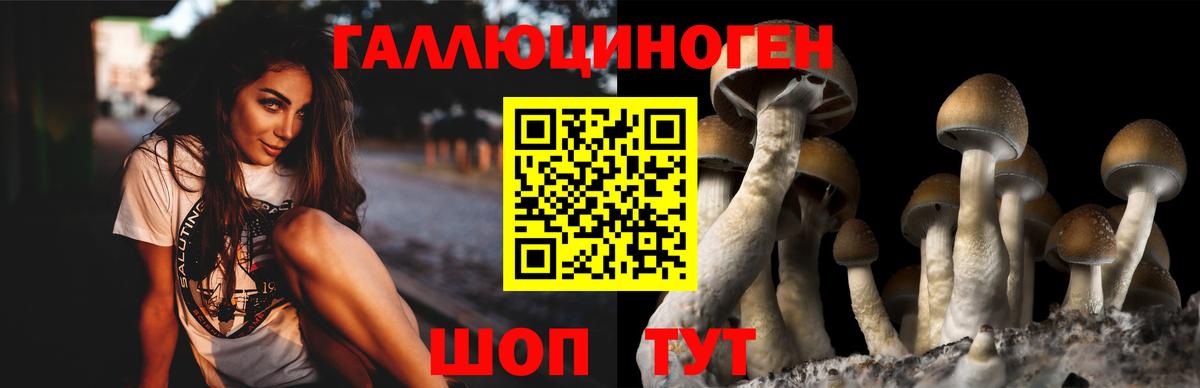 Галлюциногенные грибы Psilocybe  Вход с VPN  Котельники 